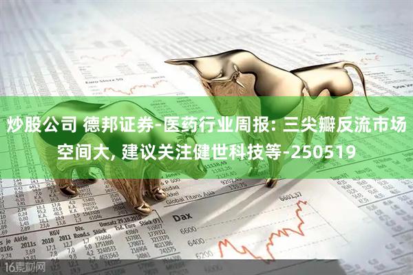 炒股公司 德邦证券-医药行业周报: 三尖瓣反流市场空间大, 建议关注健世科技等-250519