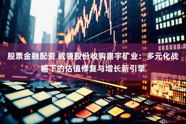 股票金融配资 威领股份收购嘉宇矿业：多元化战略下的估值修复与增长新引擎