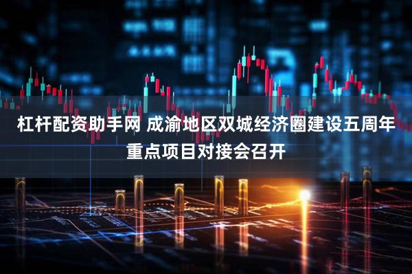 杠杆配资助手网 成渝地区双城经济圈建设五周年重点项目对接会召开