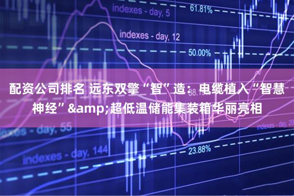 配资公司排名 远东双擎“智”造：电缆植入“智慧神经”&超低温储能集装箱华丽亮相